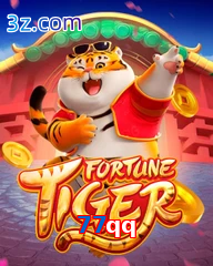 77qq jogo do tigre da sorte