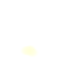 77qq trend